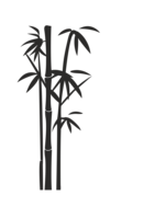 nature & Bamboo free transparent png image.