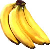 fruits & Banana free transparent png image.