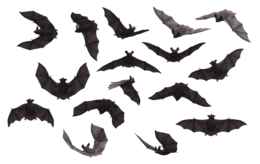 animals & bat free transparent png image.