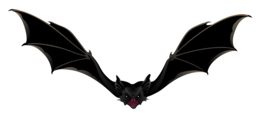 animals & bat free transparent png image.