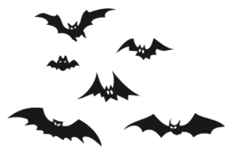animals & Bat free transparent png image.