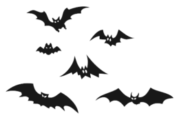 animals & bat free transparent png image.