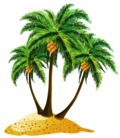 nature & Beach free transparent png image.