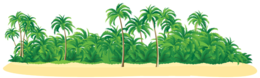 nature & beach free transparent png image.