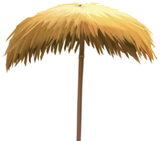 nature & beach free transparent png image.