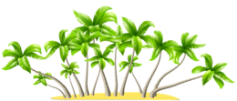 nature & beach free transparent png image.