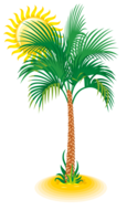 nature & beach free transparent png image.