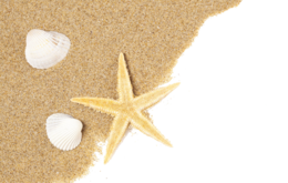 nature & beach free transparent png image.