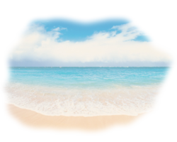 nature & beach free transparent png image.