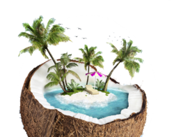 nature & Beach free transparent png image.