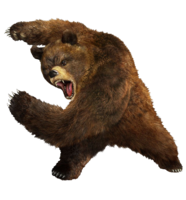 animals & Bear free transparent png image.