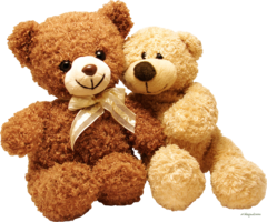 animals & bear free transparent png image.