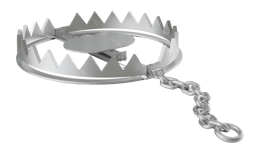 alphabet & bear trap free transparent png image.
