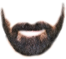 people & beard free transparent png image.