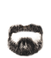 people & Beard free transparent png image.