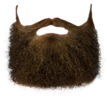 people & beard free transparent png image.