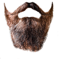 people & Beard free transparent png image.