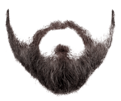 people & beard free transparent png image.