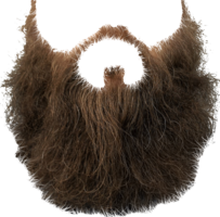 people & beard free transparent png image.