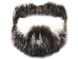 people & beard free transparent png image.