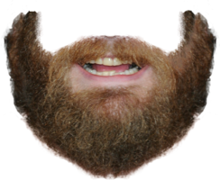 people & Beard free transparent png image.