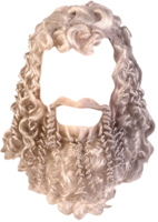 people & beard free transparent png image.