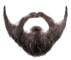 people & beard free transparent png image.