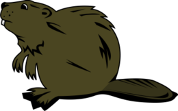 animals & beaver free transparent png image.