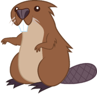 animals & beaver free transparent png image.