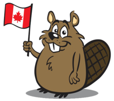 animals & beaver free transparent png image.