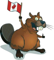 animals & beaver free transparent png image.