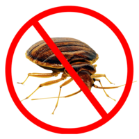 insects & bed bug free transparent png image.