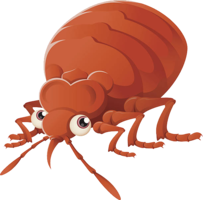 insects & bed bug free transparent png image.