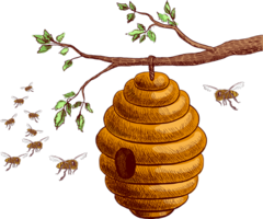 insects & Bee free transparent png image.