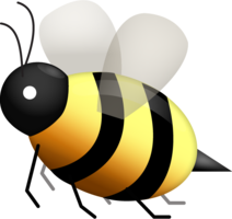 insects & Bee free transparent png image.