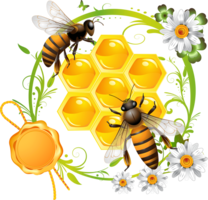 insects & Bee free transparent png image.