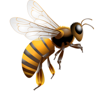 insects & Bee free transparent png image.