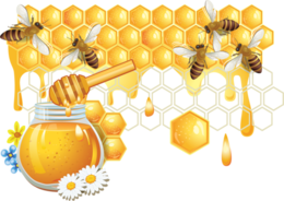insects & Bee free transparent png image.