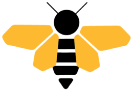 insects & Bee free transparent png image.