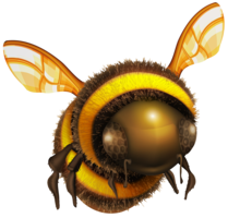 insects & bee free transparent png image.