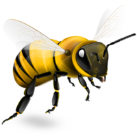 insects & bee free transparent png image.