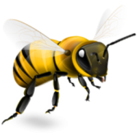 insects & bee free transparent png image.