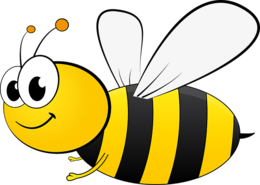 insects & Bee free transparent png image.