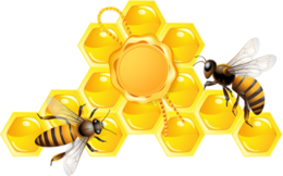 insects & bee free transparent png image.