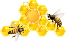 insects & Bee free transparent png image.