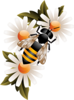 insects & bee free transparent png image.