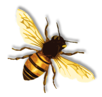 insects & Bee free transparent png image.