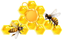 insects & bee free transparent png image.