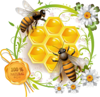 Bee&insects png image