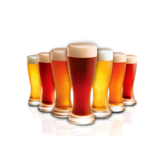 food & beer free transparent png image.